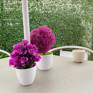 Habitación Estándar con 2 Camas Individuales
